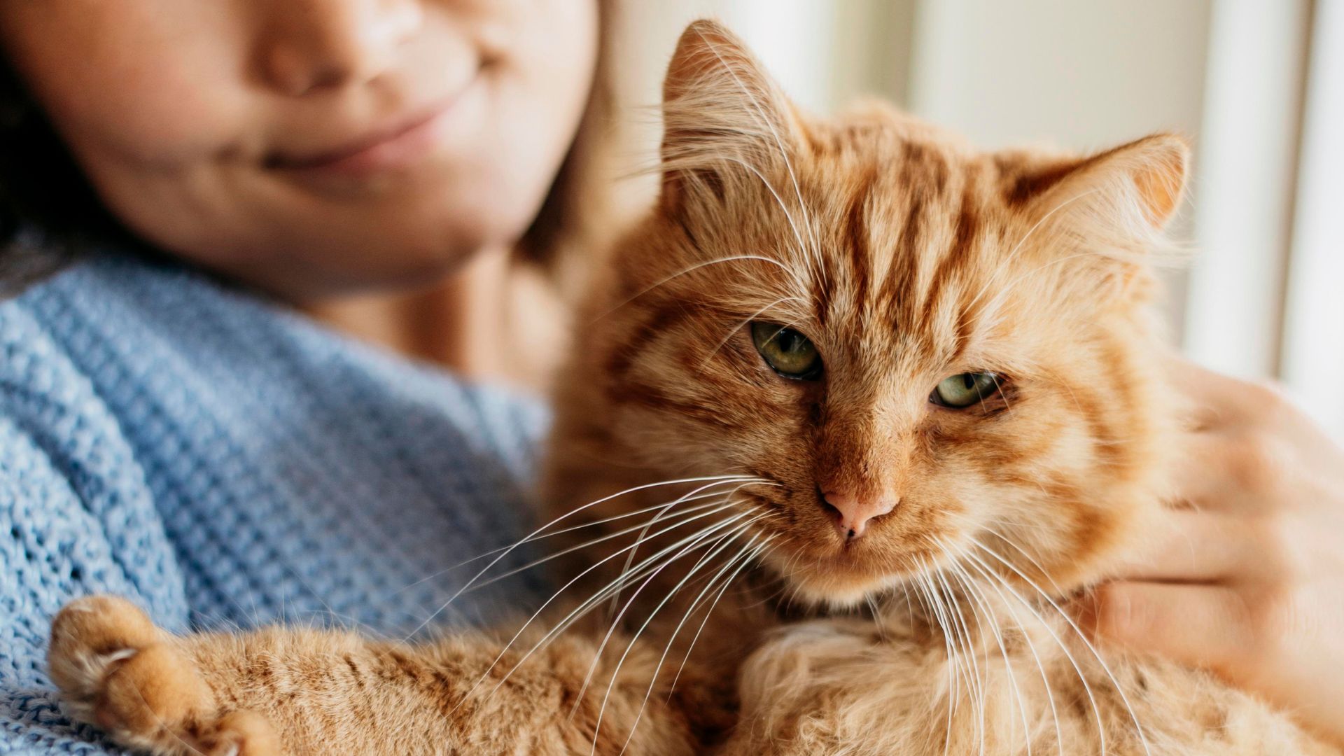 Athens GA 30605 Veterinary Jobs Gaines Shoal Animal Clinic