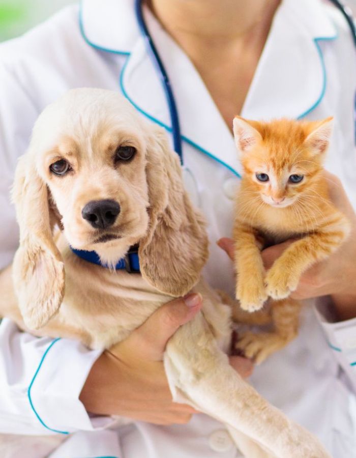Pet preventive services section